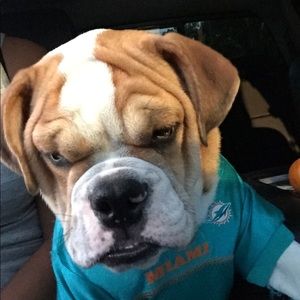 Meet your Posher, Gbabyy